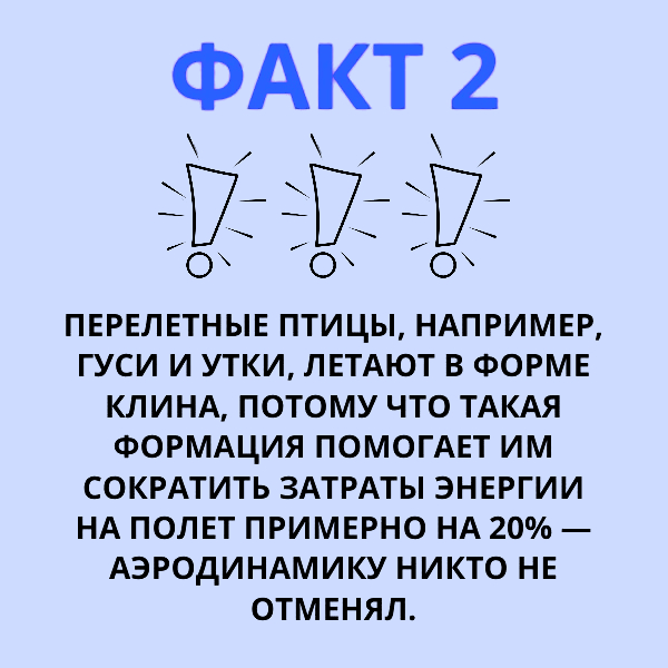 3 1715565570214 (1).jpg